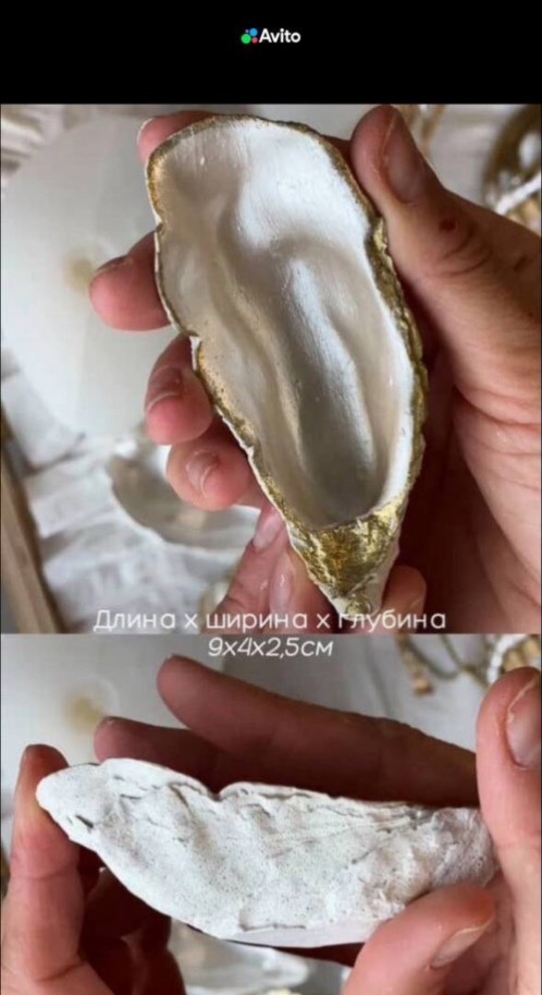 Декоративные устрицы 🦪 набор 5 шт