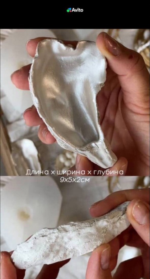 Декоративные устрицы 🦪 набор 5 шт